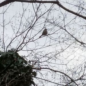 Meet your Posher, Wayne